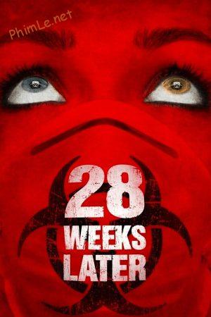 28 Weeks Later