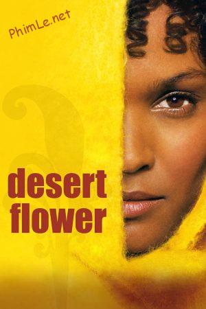 Desert Flower