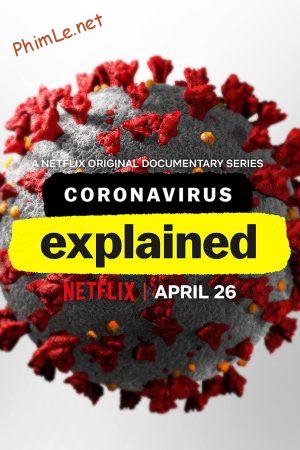 Giải mã virus corona