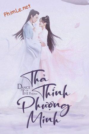 Thả Thính Phượng Minh