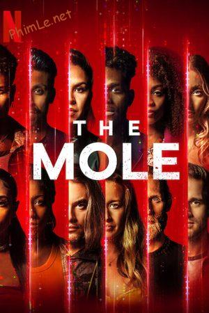 The Mole: Ai là nội gián