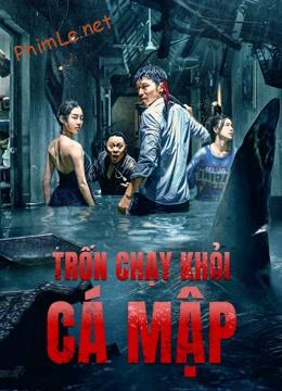 Trốn Chạy Khỏi Cá Mập