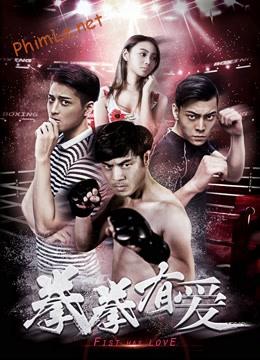 Yêu Boxer