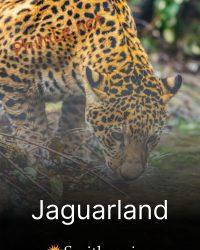 Jaguarland