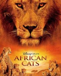 African Cats