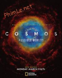 Cosmos: Possible Worlds