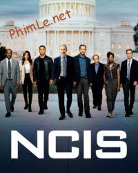 NCIS (Phần 14)