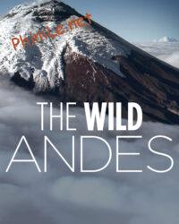 The Wild Andes